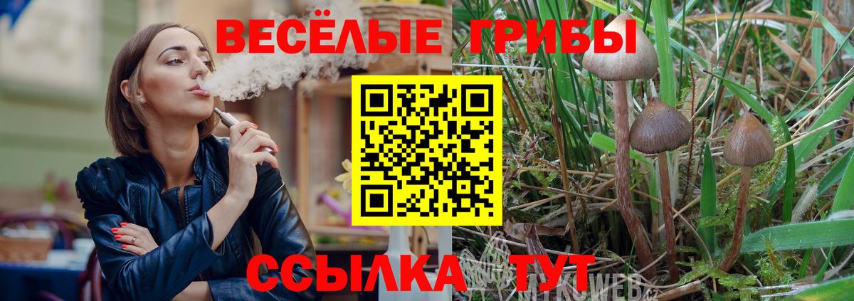 Протвино  купить наркотик  Вход с VPN  Псилоцибиновые грибы Cubensis 