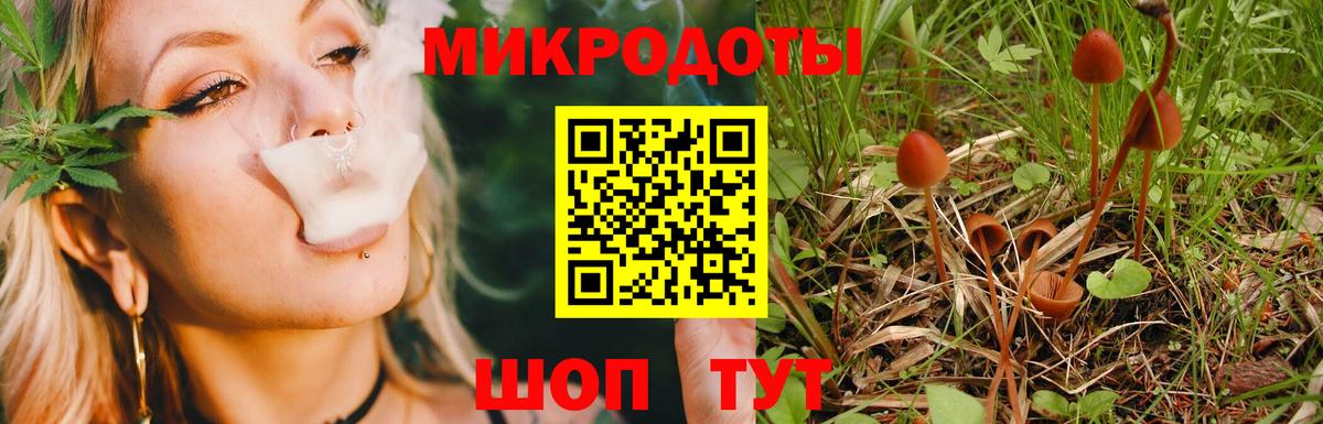 Галлюциногенные грибы Psilocybine cubensis Протвино